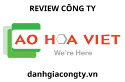 review công ty Ảo hóa việt