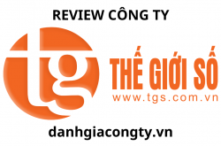 review công ty thế giới số