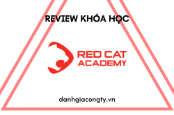 Review khóa học online của Red Cat Academy