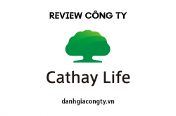 Review công ty bảo hiểm Cathay Việt Nam