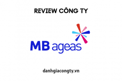 Review công ty bảo hiểm MB Ageas