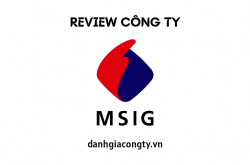 Review công ty bảo hiểm MSIG Việt Nam