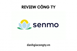 Review công ty cho vay tiền SENMO.VN