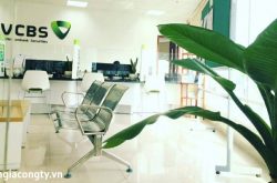 Review công ty chứng khoán Ngân hàng TMCP Ngoại Thương (VCBS)