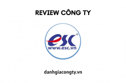 Review công ty Giải Pháp Trực Tuyến - ESC.VN