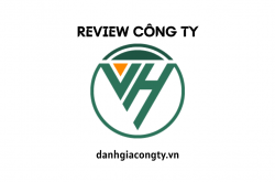 Review công ty Việt Hosting