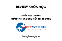 Review khóa học Phân tích Ngành và Dòng tiền Thị trường của Vietstock.vn