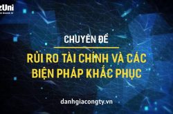 Review khóa học Rủi ro tài chính và các giải pháp khắc phục trên Bizuni.vn
