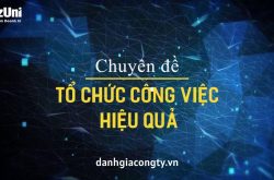Review khóa học Tổ chức công việc hiệu quả trên Bizuni.vn